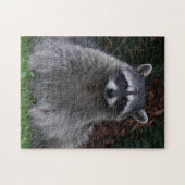 Niedliche Waldraccoon-Natur Puzzle (Horizontal)