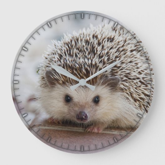 Niedliche Wanduhr für den Igel (Vorderseite)
