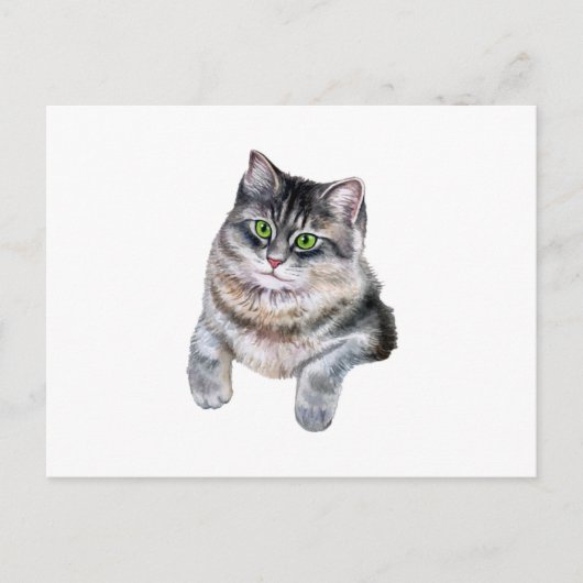 Niedliche Wasserfarbe Grau Tabby Katze Postkarte (Vorderseite)
