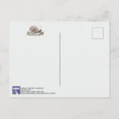 Niedliche Wasserfarbe Schnecke Art Tier Postkarte (Rückseite)