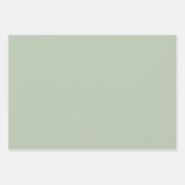 Niedliche Weichfarbklemme Minimales Umhüllungspapi Geschenkpapier Set (Vorderseite 3)