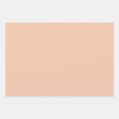 Niedliche Weichfarbklemme Minimales Umhüllungspapi Geschenkpapier Set (Vorderseite 2)