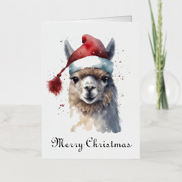 Niedliche Weihnachten Alpaca, Brauch