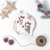 Niedliche Weihnachten Alpaca, Brauch