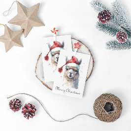 Niedliche Weihnachten Alpaca, Brauch