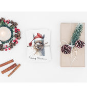 Niedliche Weihnachten Alpaca, Brauch