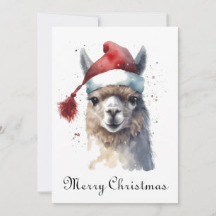 Niedliche Weihnachten Alpaca, Brauch