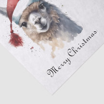 Niedliche Weihnachten Alpaca, Brauch