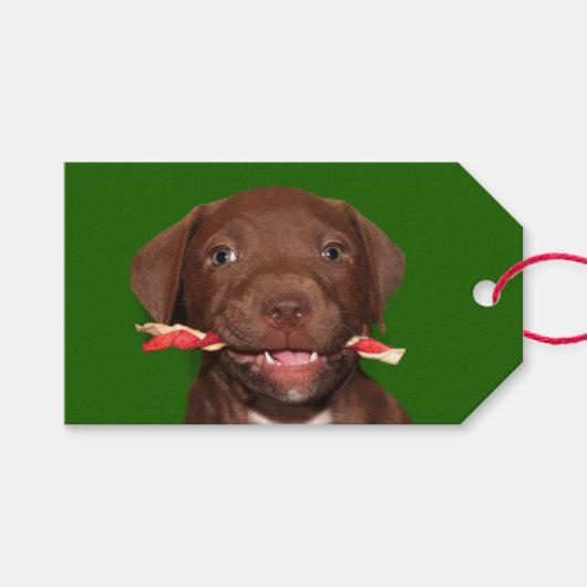 Niedliche Weihnachten Geschenkanhänger (Vorderseite (Horizontal))
