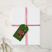 Niedliche Weihnachten Geschenkanhänger (Mit Garn)