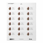 Niedliche Weihnachts-Kiwi, Brauch Adressaufkleber (Vorne)