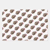 Niedliche Weihnachts-Kiwi, Brauch Geschenkpapier Set (Vorderseite)