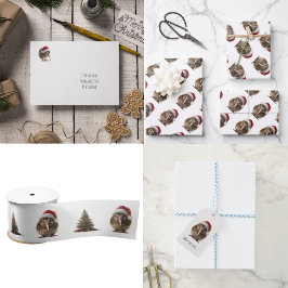 Niedliche Weihnachts-Kiwi, Brauch Geschenkpapier Set