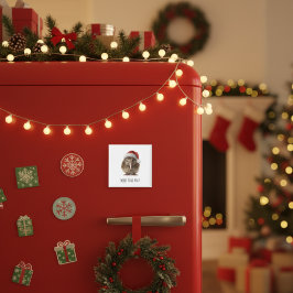 Niedliche Weihnachts-Kiwi, Brauch Magnet