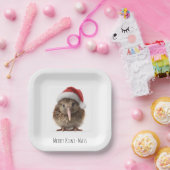 Niedliche Weihnachts-Kiwi, Brauch Pappteller (Party)