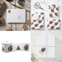 Niedliche Weihnachts-Kiwi, Brauch