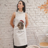 Niedliche Weihnachts-Kiwi, Brauch Schürze