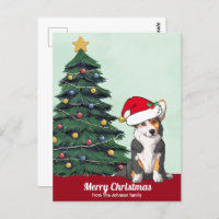 Niedliche Weihnachts-Tricolor-Corgi mit Schwanz Cu