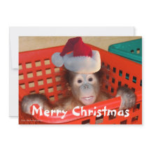 Niedliche Weihnachts-Weihnachtsfotokarte