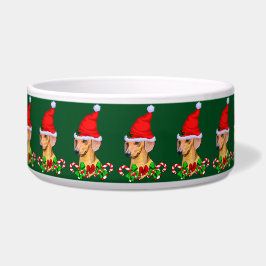 Niedliche Weihnachtsfeiertage Dackel Napf