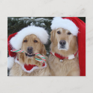 Niedliche Weihnachtsfeiertage Feiertagspostkarte