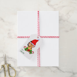 Niedliche Weihnachtsgeschenke-Tags der Weihnachtsz Geschenkanhänger