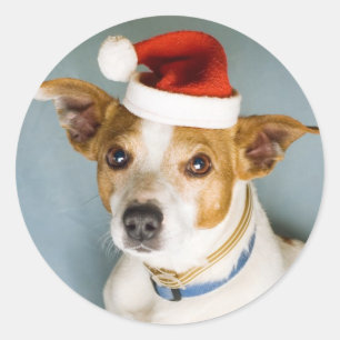 Niedliche Weihnachtshundekleber Runder Aufkleber