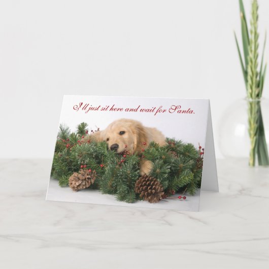 Niedliche Weihnachtskarte Feiertagskarte (Vorderseite)