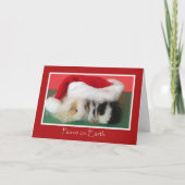 Niedliche Weihnachtskarte Guinea Feiertagskarte (Vorderseite)