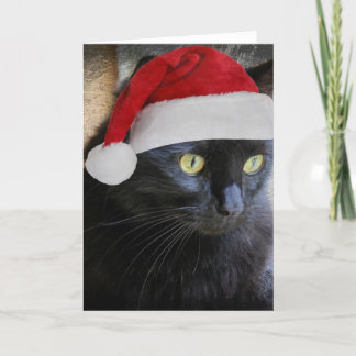 Niedliche Weihnachtskarte, Hübsche Schwarze Katze  Feiertagskarte