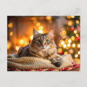 Niedliche Weihnachtskatze Feiertagspostkarte (Vorderseite)