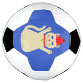 Niedliche Weihnachtskatze Fußball (Gedreht)