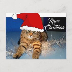 Niedliche Weihnachtskatze Postkarte mit Begrüßung
