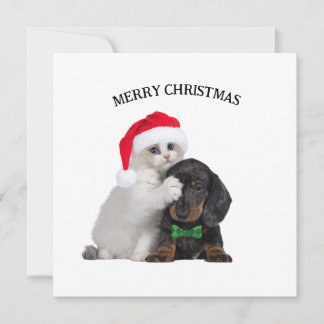 Niedliche Weihnachtskatze und Weihnachtskarte des