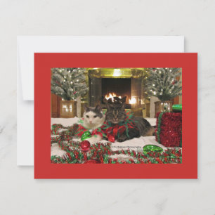 Niedliche Weihnachtskatzen Feiertagskarte