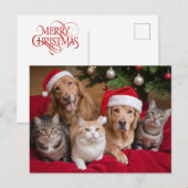 Niedliche Weihnachtskatzen und -hunde Feiertagspostkarte (Vorne/Hinten)