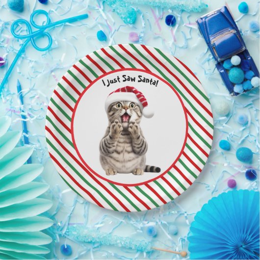 Niedliche Weihnachtskatzenplatte Pappteller (Party)