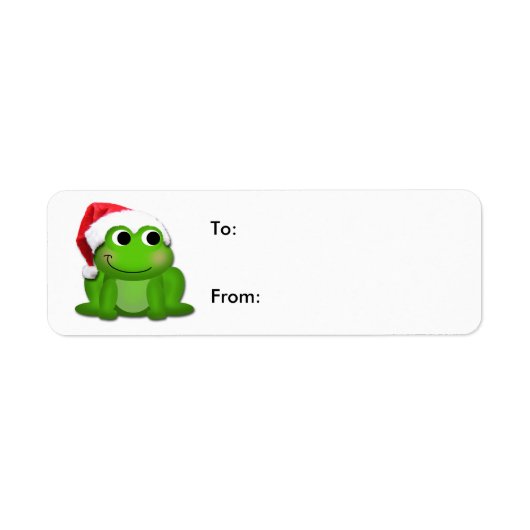Niedliche Weihnachtsmannmütze Froggy Weihnachtsges (Vorne)