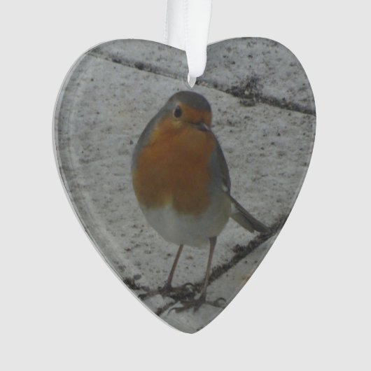 Niedliche Weihnachtsschmuck Ornament (Vorderseite)