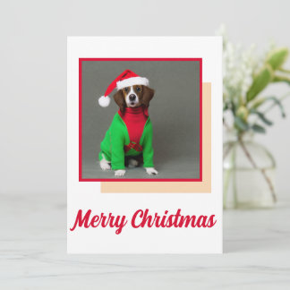 Niedliche Weihnachtstierkarte für Freunde und Fami Feiertagskarte