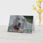 Niedliche weimaraner Welpen-Geburtskarte Karte (Gelbe Blume)
