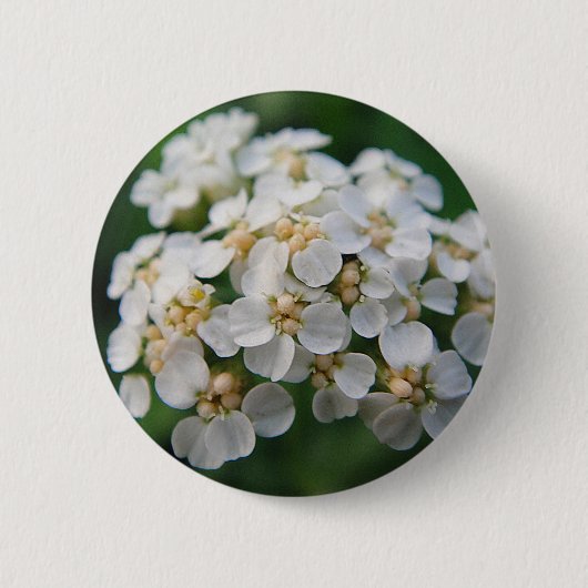 Niedliche weiß Blüten Button (Vorderseite)