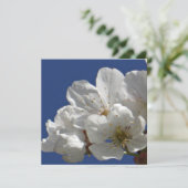 Niedliche weiße Blume (Stehend Vorderseite)