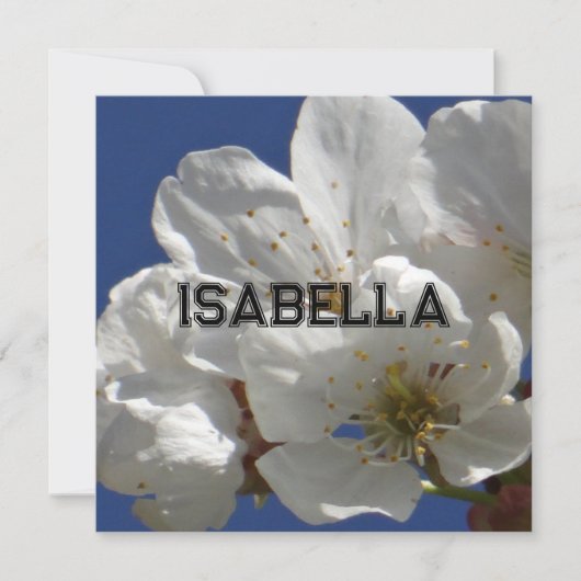 Niedliche weiße Blume Faltkarte (Vorderseite)