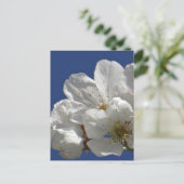 Niedliche weiße Blume Postkarte (Stehend Vorderseite)