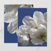 Niedliche weiße Blume Postkarte (Vorne/Hinten)