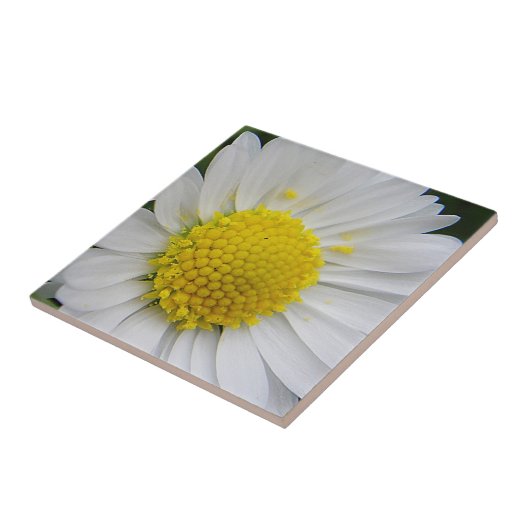 Niedliche, weiße Farbe Fliese (Seite)