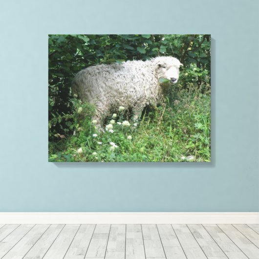 Niedliche weiße, flauschige Schafe, die Leinwand e (Insitu (Holzboden))