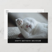 Niedliche weiße Katze Geburtstagskarte Postkarte (Vorne/Hinten)