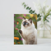 Niedliche Weiße Katze Schmetterling Blaue Augen Po Postkarte (Stehend Vorderseite)